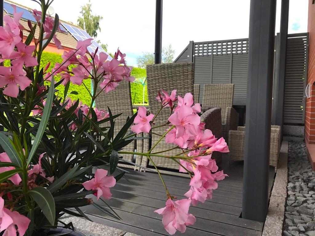 Apartamento Haus im Grünen Heringsdorf  Exterior foto
